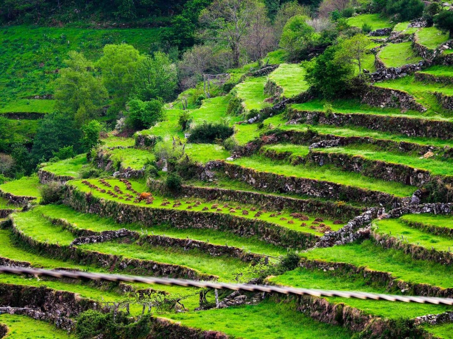 منزل الضيف Monção  في Jardim Da Rosa المظهر الخارجي الصورة